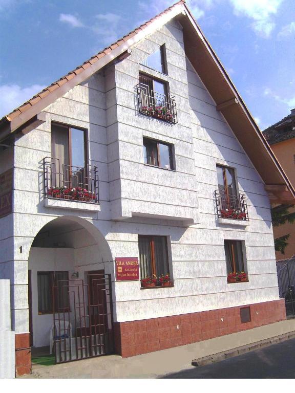 סיביו Pension Vila Andra מראה חיצוני תמונה