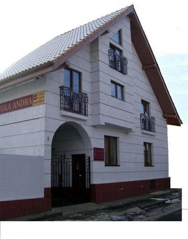סיביו Pension Vila Andra מראה חיצוני תמונה